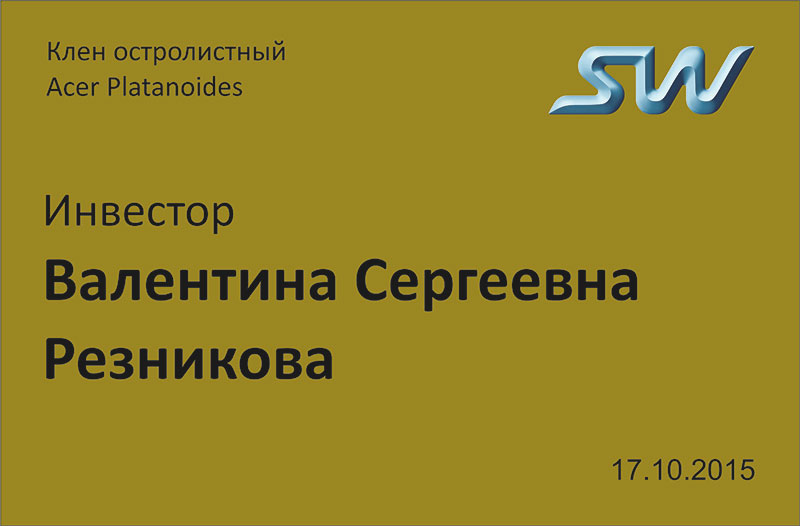 Именная табличка инвестора SkyWay