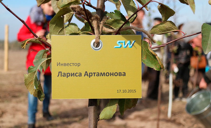 Озеленение ЭкоТехноПарка