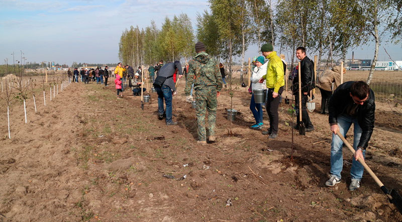 Озеленение центра струнных технологий SkyWay - ЭкоТехноПарка