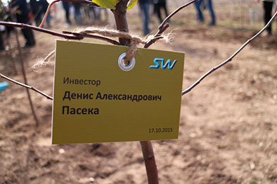 Озеленение центра струнных технологий SkyWay - ЭкоТехноПарка