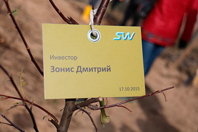 Озеленение центра струнных технологий SkyWay - ЭкоТехноПарка