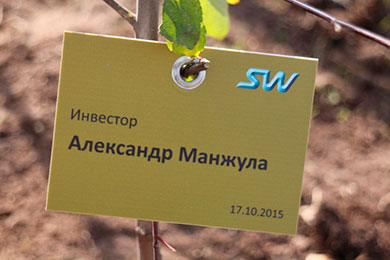 Озеленение центра струнных технологий SkyWay - ЭкоТехноПарка