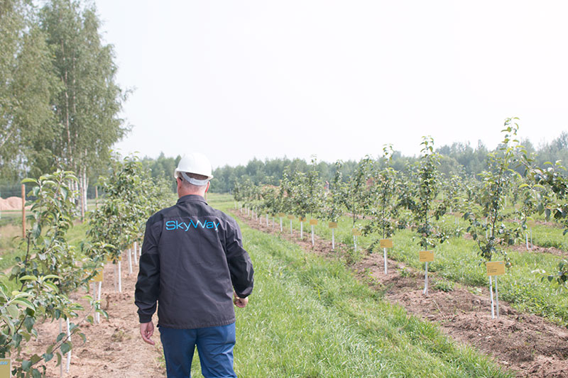 15:54 - Сад акционеров SkyWay