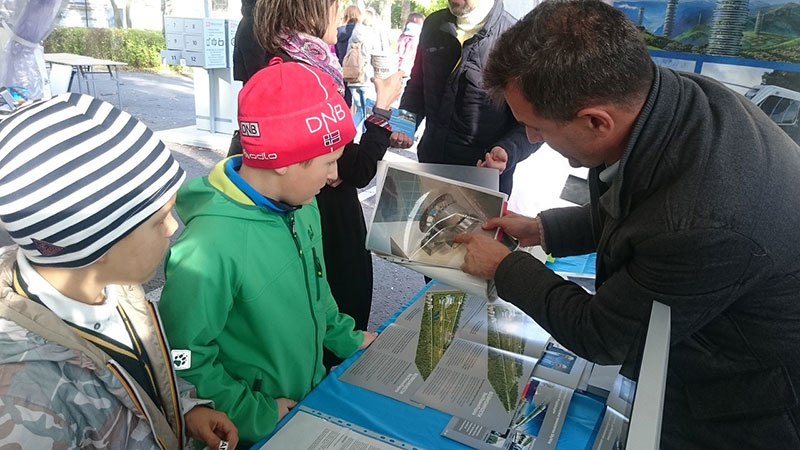 GreenDay со SkyWay