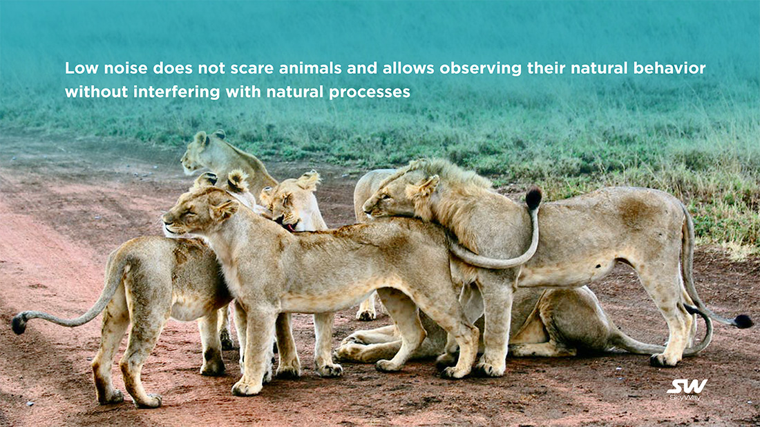 SkyWay: в гармонии с дикой природой