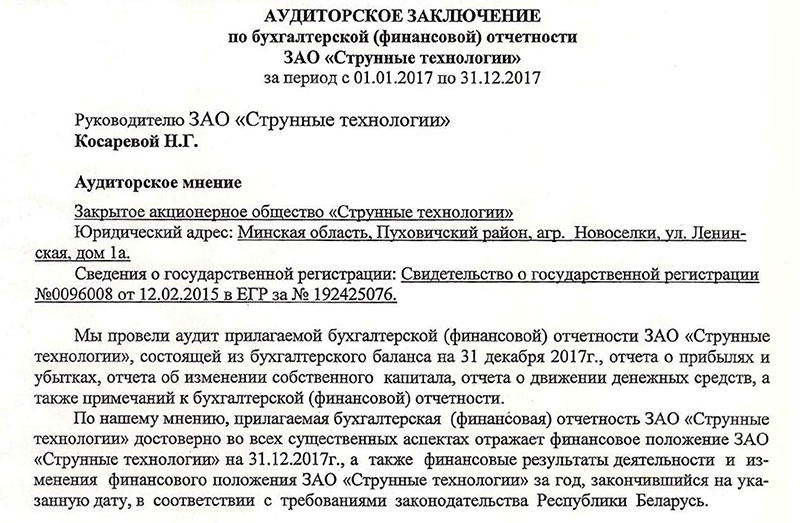 Финансовый аудит ЗАО Струнные технологии за 2017 год