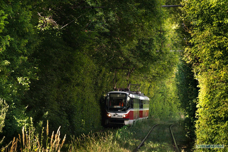 Битва технологий: SkyWay vs трамвай